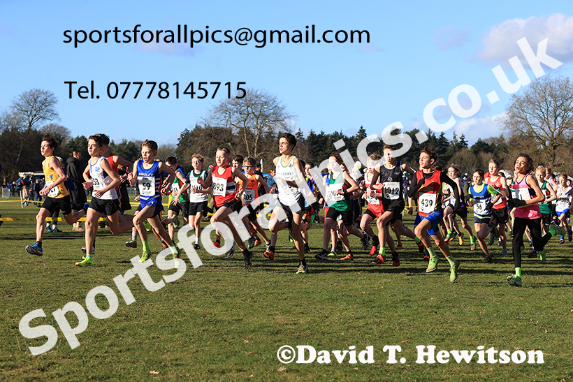 Boys under-13s 2025 Northern Cross Country Champs, Tatton Park, Knutsford, Cheshire. Photo: David T. Hewitson/Sports for All Pics